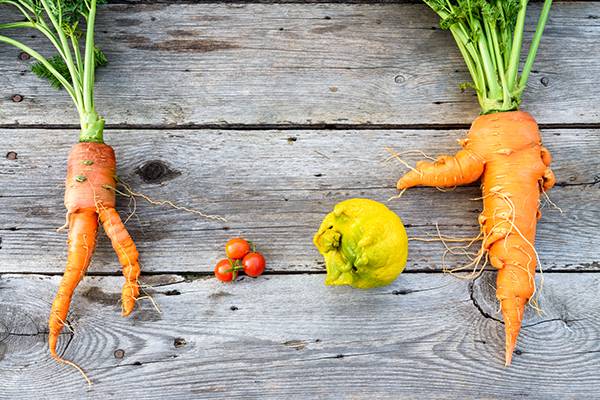 Fresh vegetables