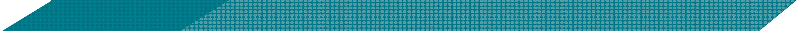 teal divider